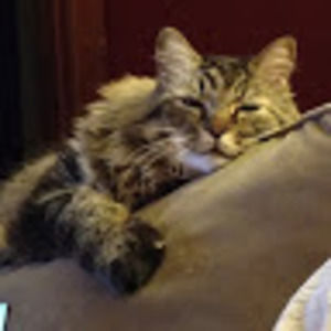 Meet your Posher, Katy